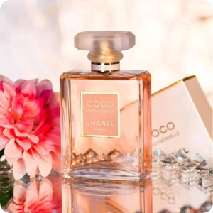 parfumrehberi