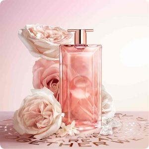 parfumrehberi