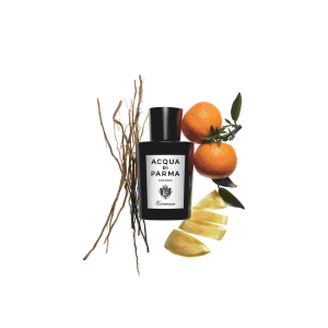 parfumrehberi