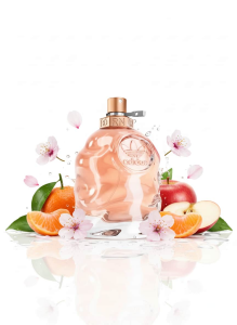 parfumrehberi